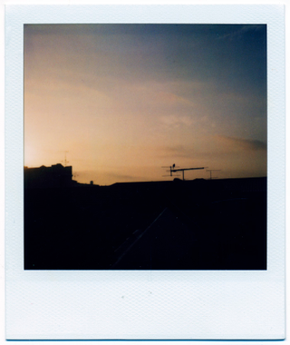 Illustration for article titled Polaroid SX-70: The Joy of Instant Photography Before Digital